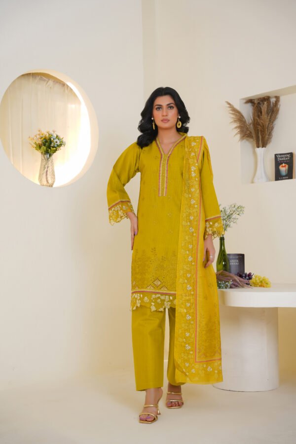 3-Piece Embroidered Dress (Article 1005) - Image 2