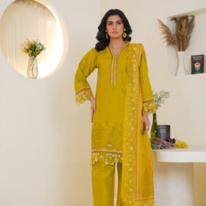 3-Piece Embroidered Dress (Article 1005)