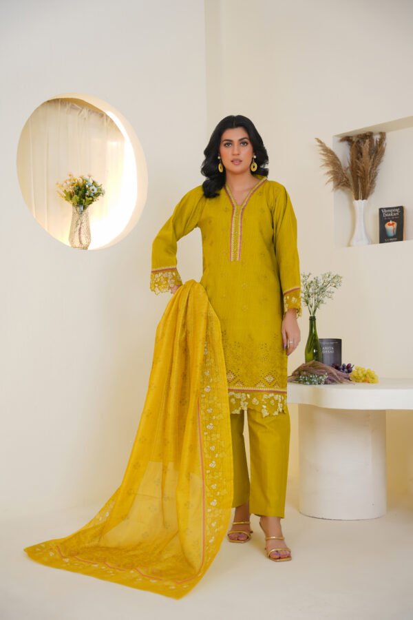 3-Piece Embroidered Dress (Article 1005) - Image 3