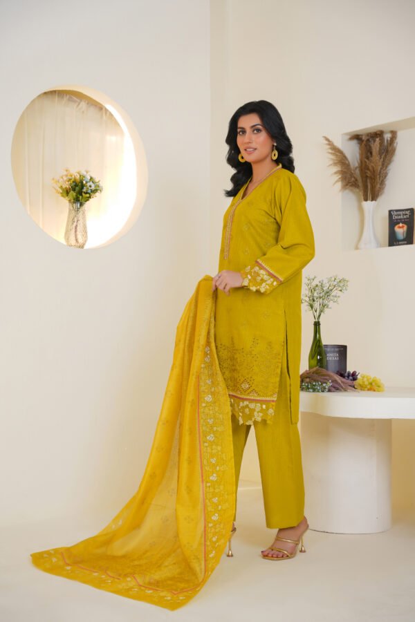 3-Piece Embroidered Dress (Article 1005) - Image 4