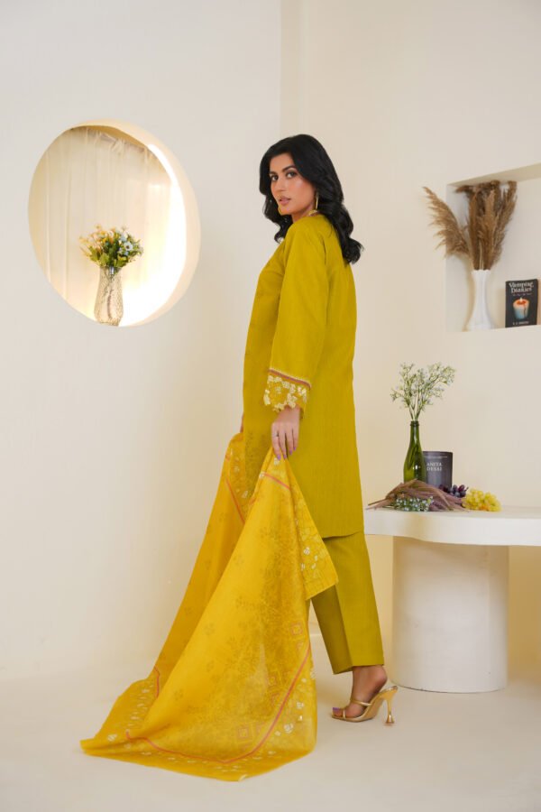 3-Piece Embroidered Dress (Article 1005) - Image 5