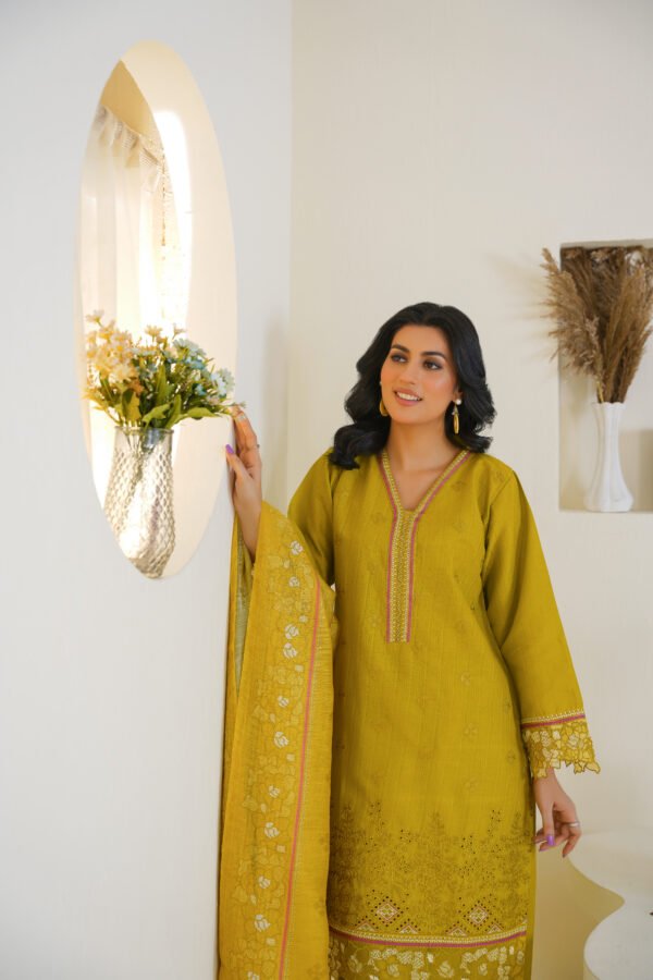 3-Piece Embroidered Dress (Article 1005) - Image 6