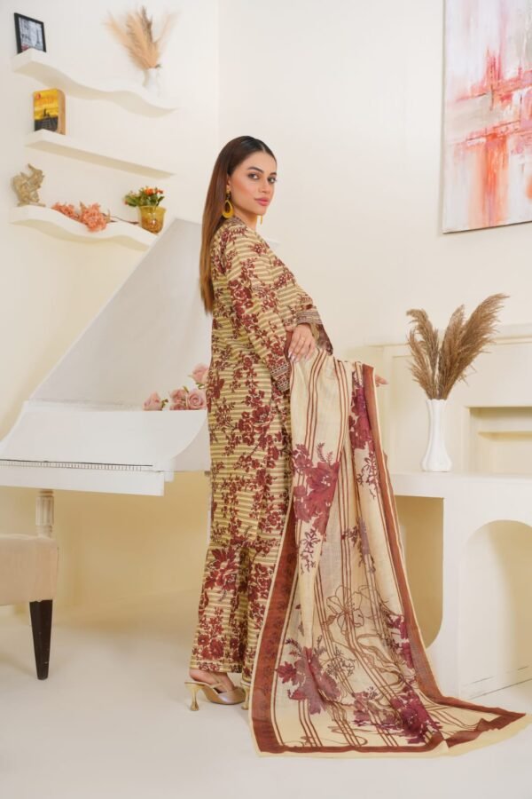 3-Piece Embroidered Dress (Article 1008) - Image 5